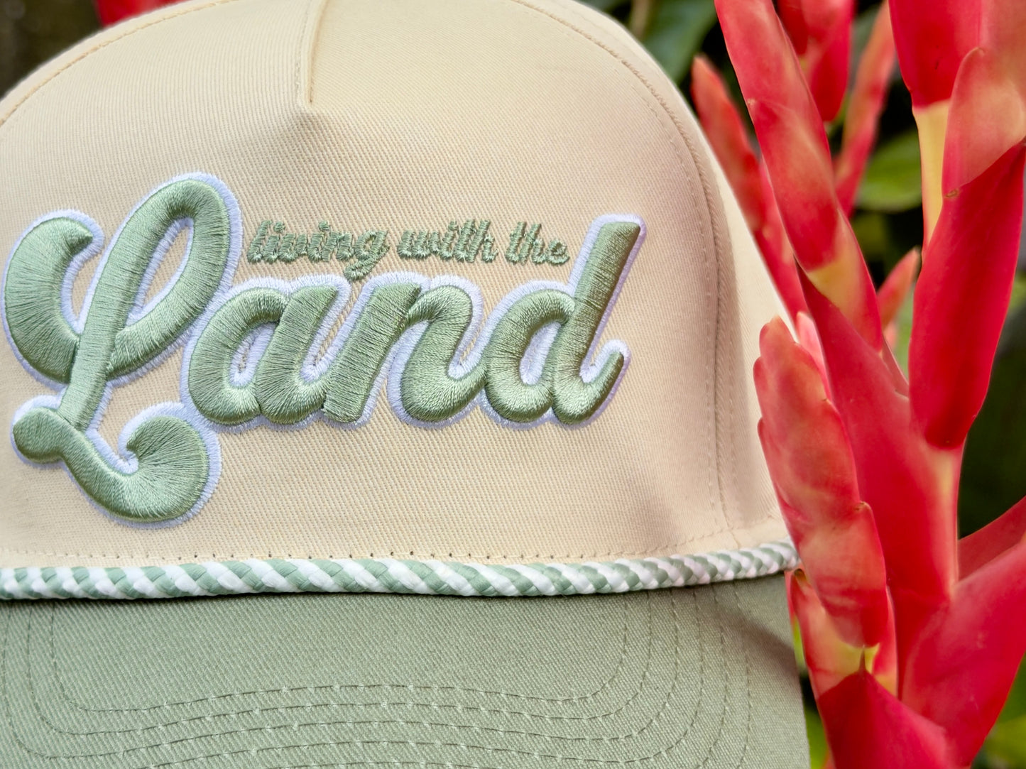 The Land